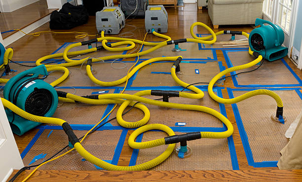 Professional Crawl Space Water Removal technician working in Clearwater, FL